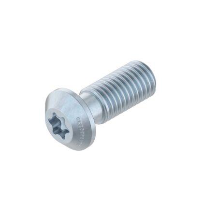 Parafuso M12x30-T50