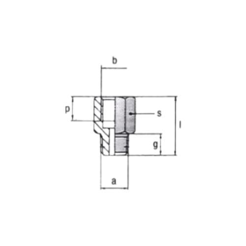 Redução M/F M12x1 1/8INBSP